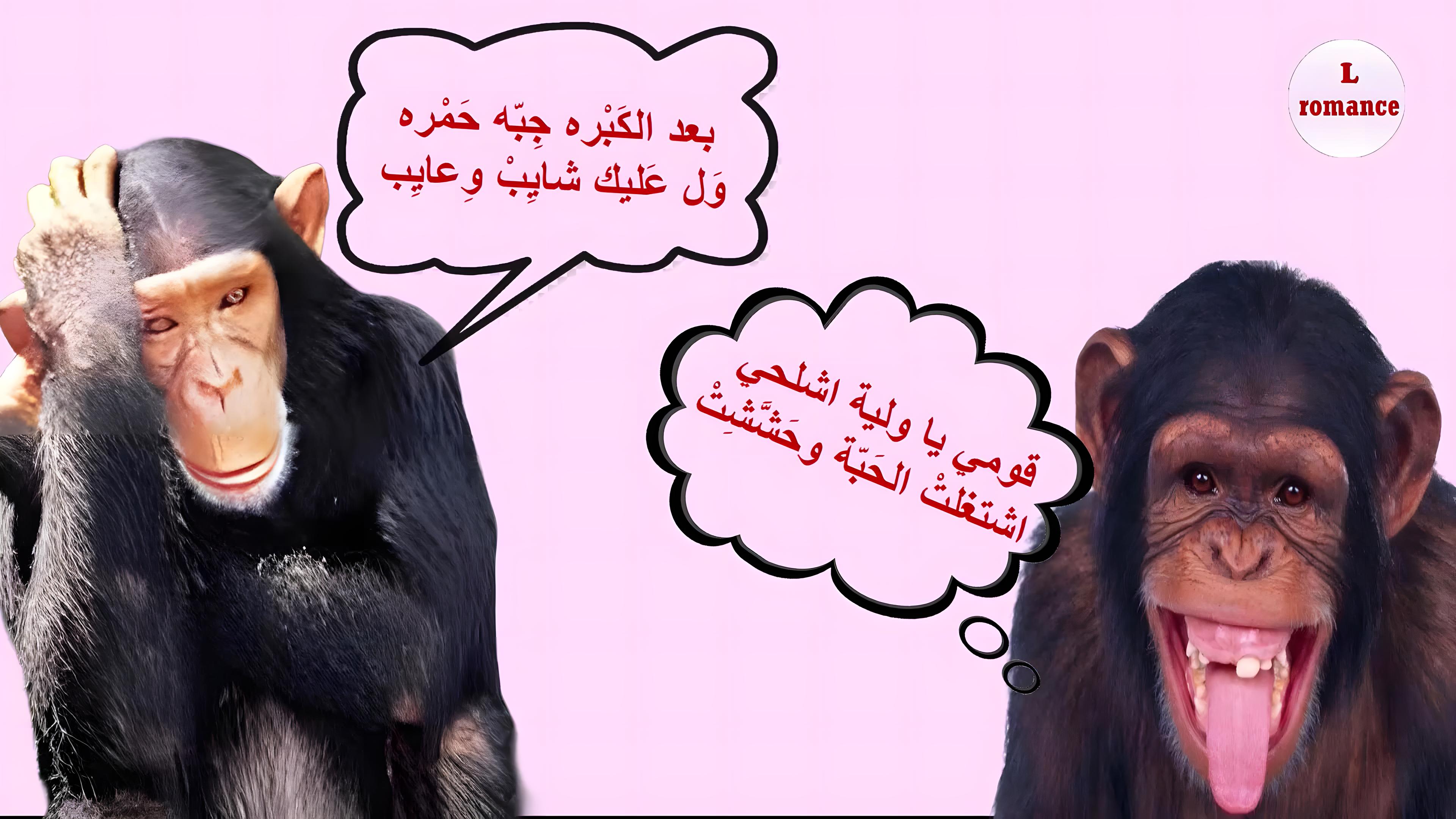 cap_بعد الكبره_00_00_03_01_٠٦٠٠٣٤.jpg