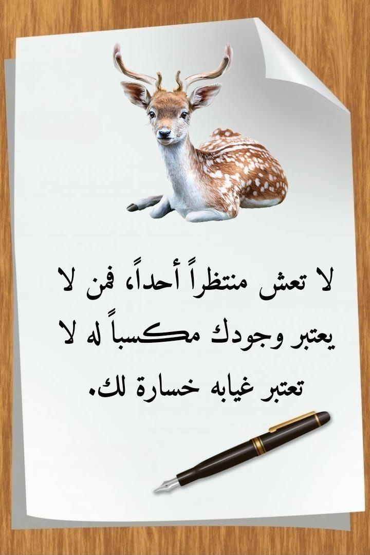 608246818_1467884125339246_4506387963838476099_n_٢٠٢٦-٠٧-١٠_١١-٤٣-٤٩.jpg